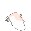 brd2