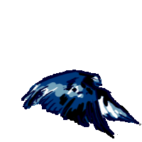 brd6